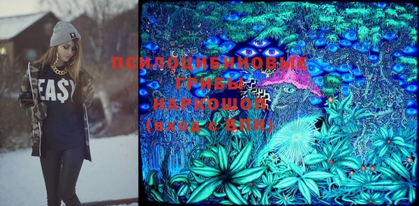 ПСИЛОЦИБИНОВЫЕ ГРИБЫ Абдулино