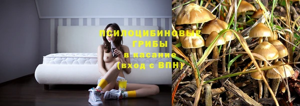 ПСИЛОЦИБИНОВЫЕ ГРИБЫ Абдулино
