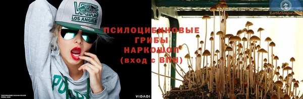 амф Абинск