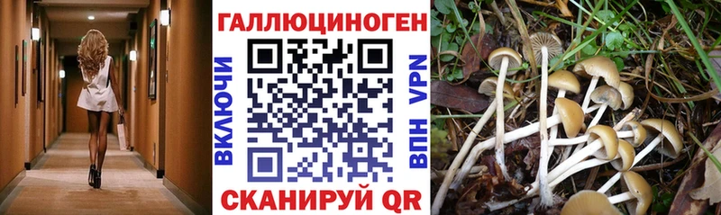 Псилоцибиновые грибы мицелий  Райчихинск 